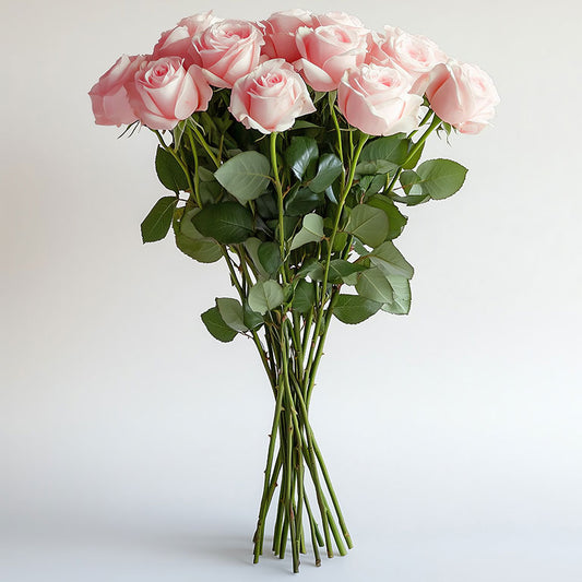 Corporate Rose Subscription