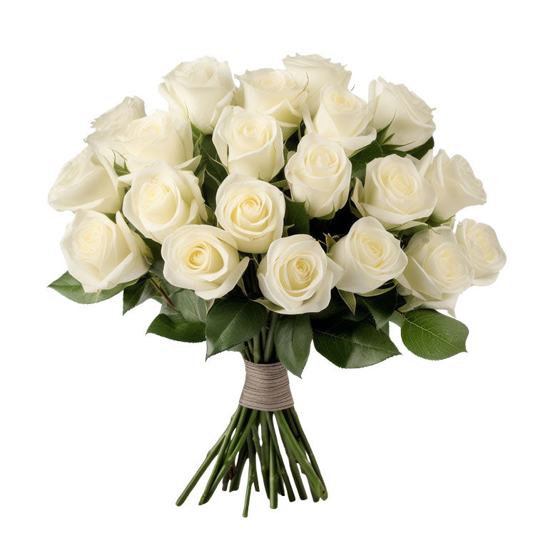 Rose Collection