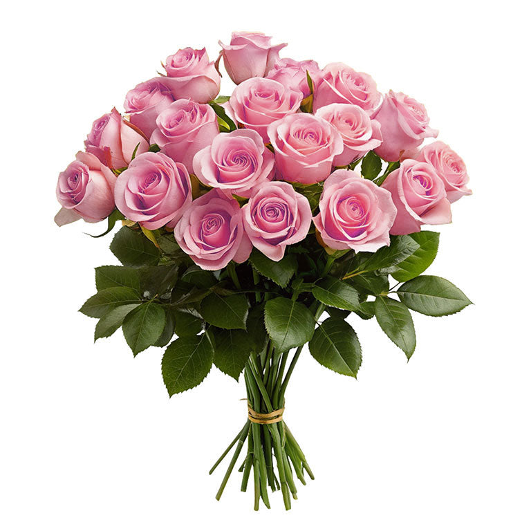 Rose Collection